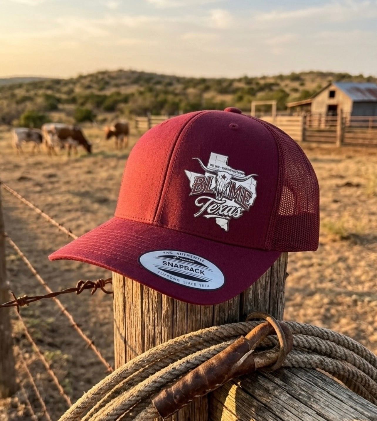 Blame Texas 3D Trucker Cap